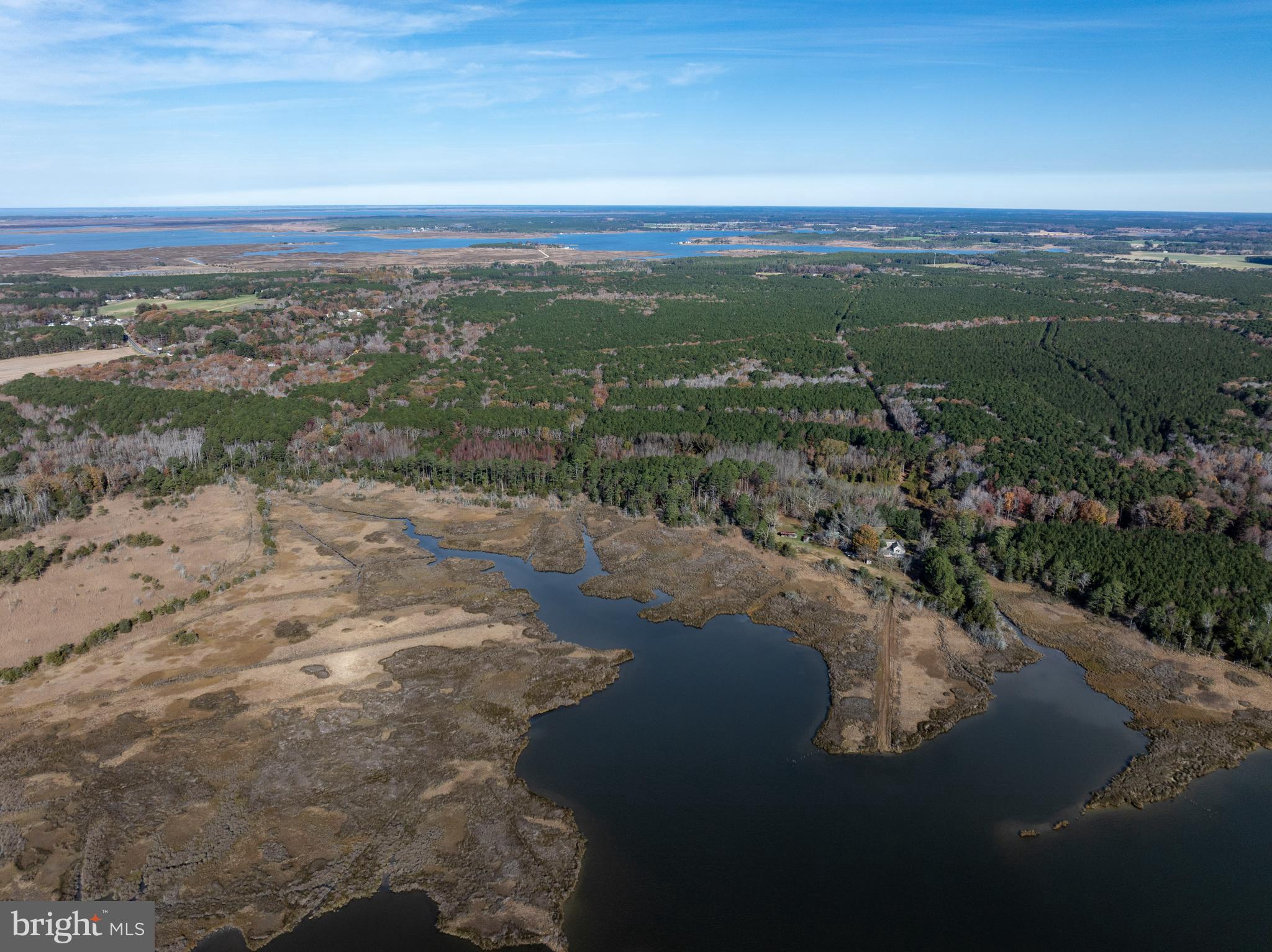 27947 Fairmount Road Westover, MD 21871 - Photo 7 of 122