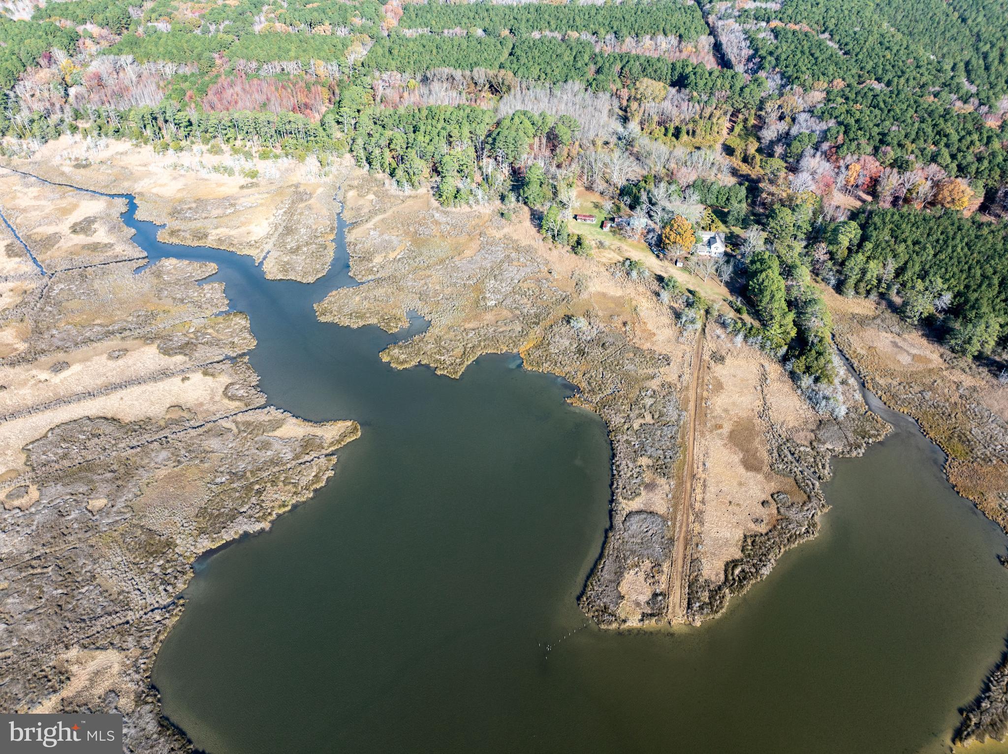 27947 Fairmount Road Westover, MD 21871 - Photo 8 of 122