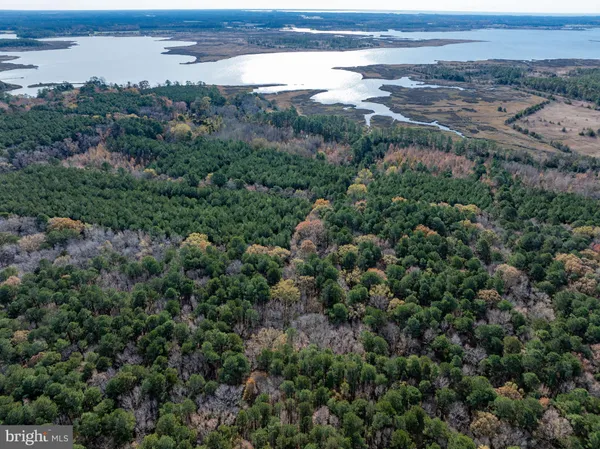 a view of a yard in front of house