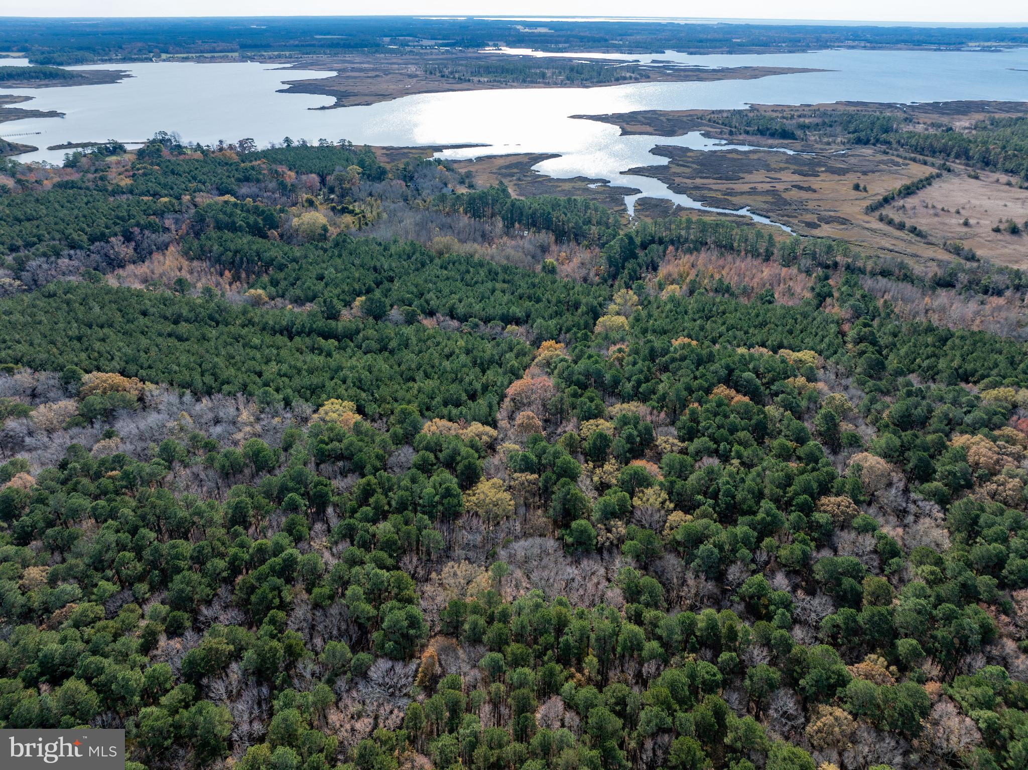 27947 Fairmount Road Westover, MD 21871 - Photo 9 of 122