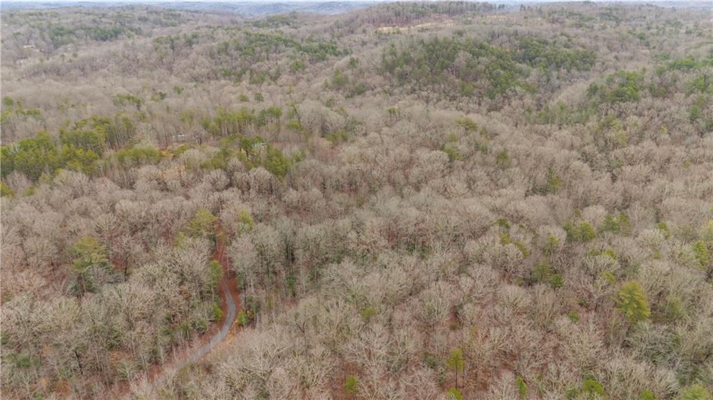 Lot 5 Still Road Dahlonega, GA 30533 - Photo 11 of 20 a view of a dry yard