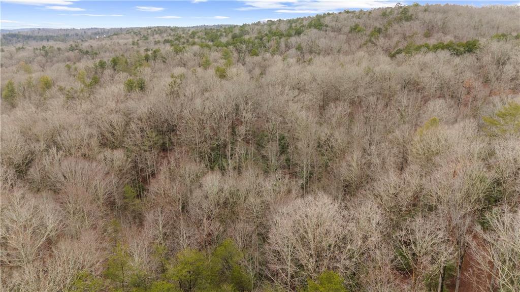 Lot 5 Still Road Dahlonega, GA 30533 - Photo 15 of 20 a view of a dry yard with green space