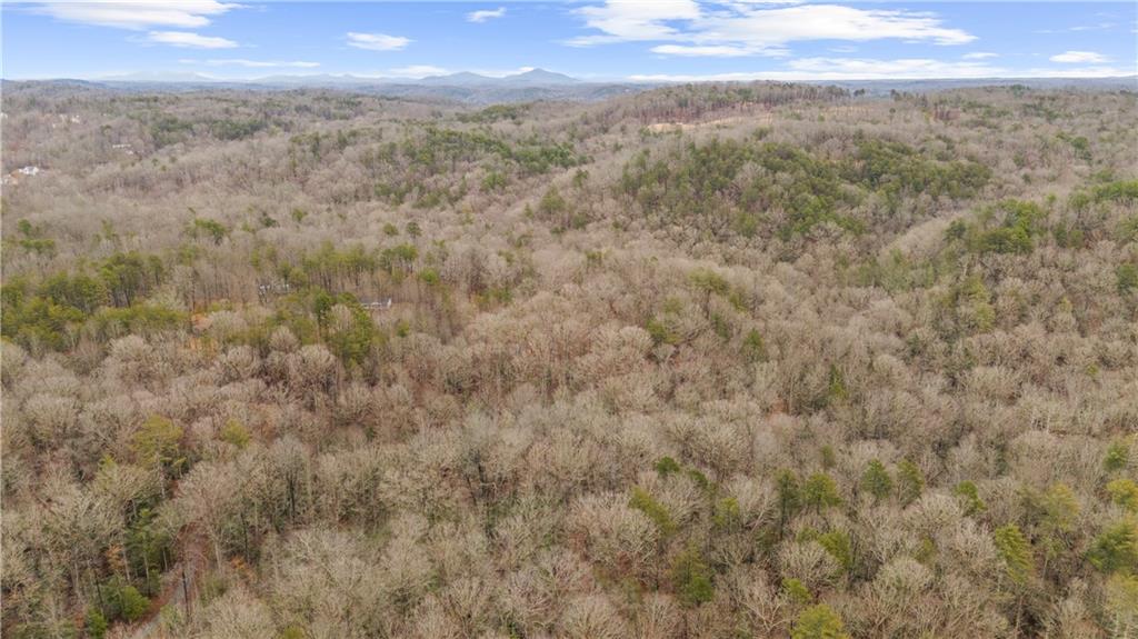 Lot 5 Still Road Dahlonega, GA 30533 - Photo 16 of 20