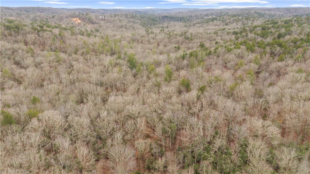 Lot 5 Still Road Dahlonega, GA 30533 - Photo 18 of 20 a view of a dry yard with trees