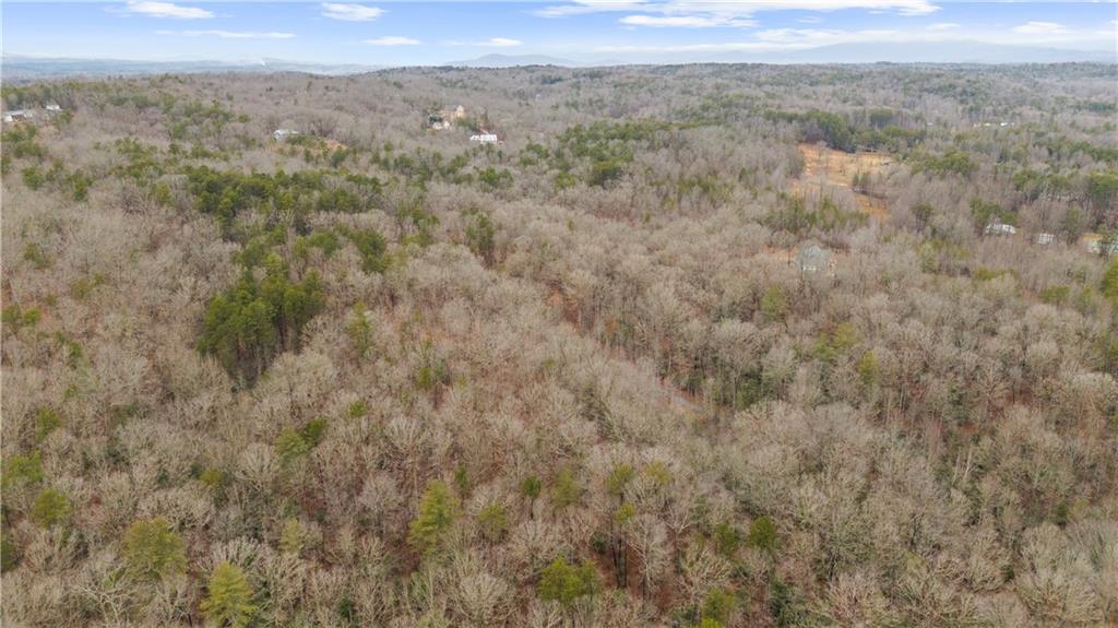 Lot 5 Still Road Dahlonega, GA 30533 - Photo 19 of 20 a view of a forest with trees in the background