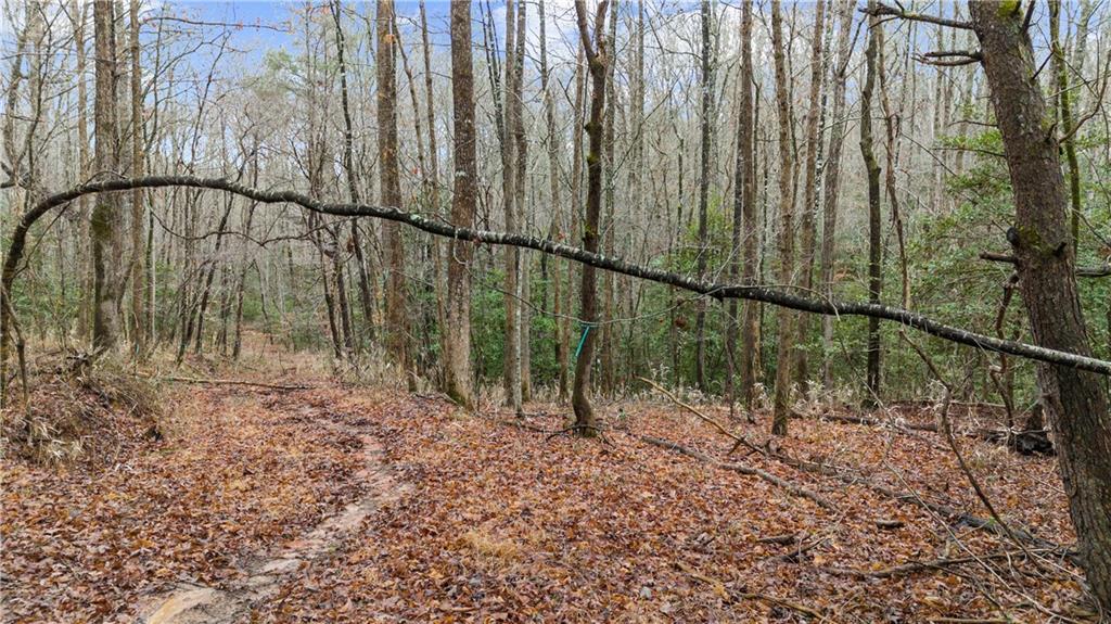 Lot 5 Still Road Dahlonega, GA 30533 - Photo 5 of 20 a view of outdoor space with swimming pool