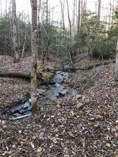 Lot 5 Still Road Dahlonega, GA 30533 - Photo 6 of 20 a view of a forest with trees
