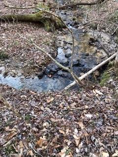 Lot 5 Still Road Dahlonega, GA 30533 - Photo 7 of 20 a view of a forest covered with snow
