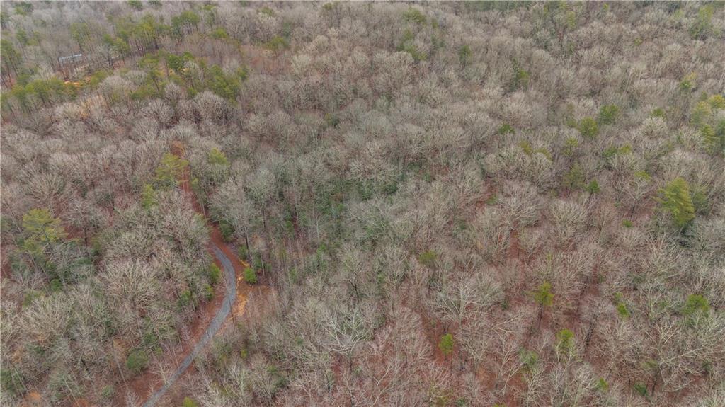 Lot 5 Still Road Dahlonega, GA 30533 - Photo 10 of 20