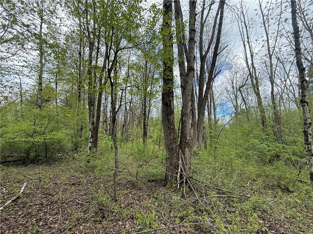 Caswell Road Freeville, NY 13068 - Photo 18 of 47