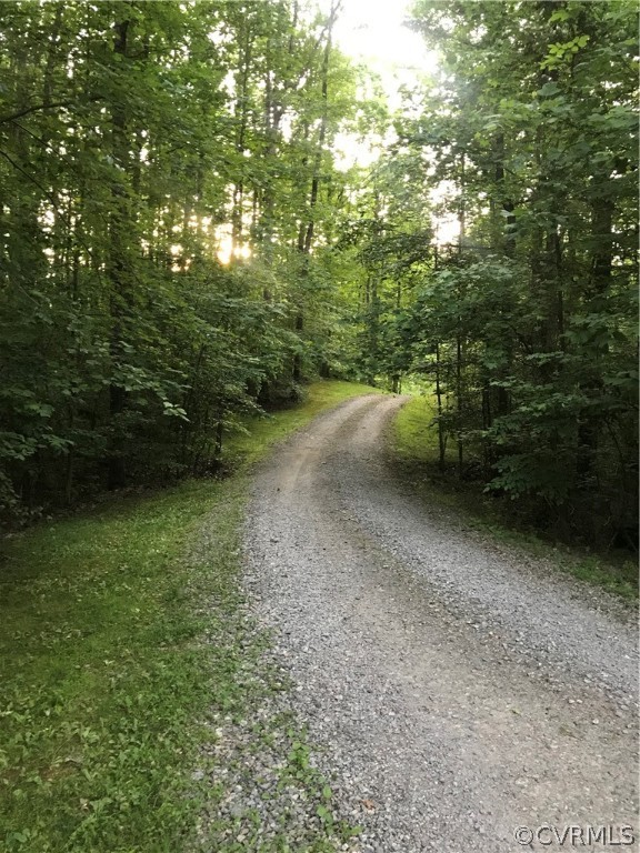 19084 Woodsons Mill Road Beaverdam, VA 23015 - Photo 15 of 16 Gallery Image 15