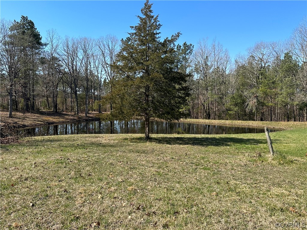 0 Old Pine Road Ford, VA 23850 - Photo 2 of 6 a small yard with trees