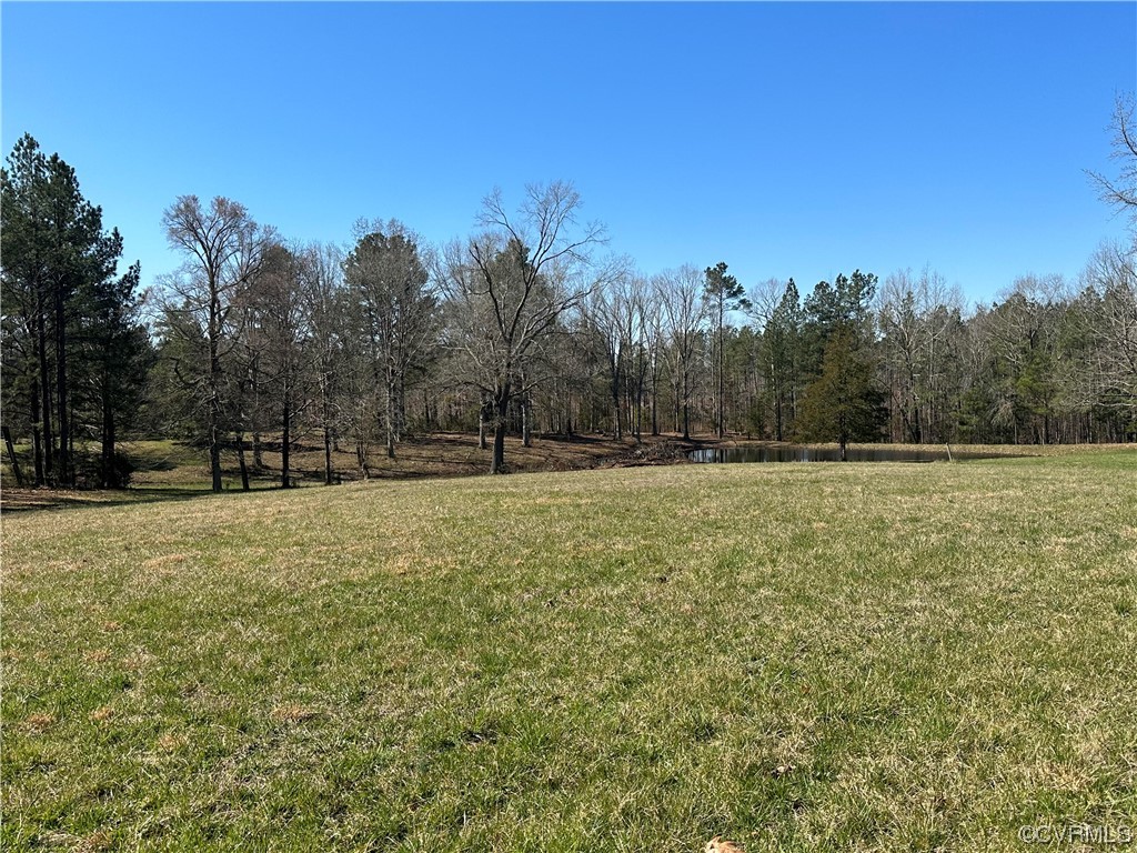 0 Old Pine Road Ford, VA 23850 - Photo 4 of 6 a view of outdoor space with trees all around