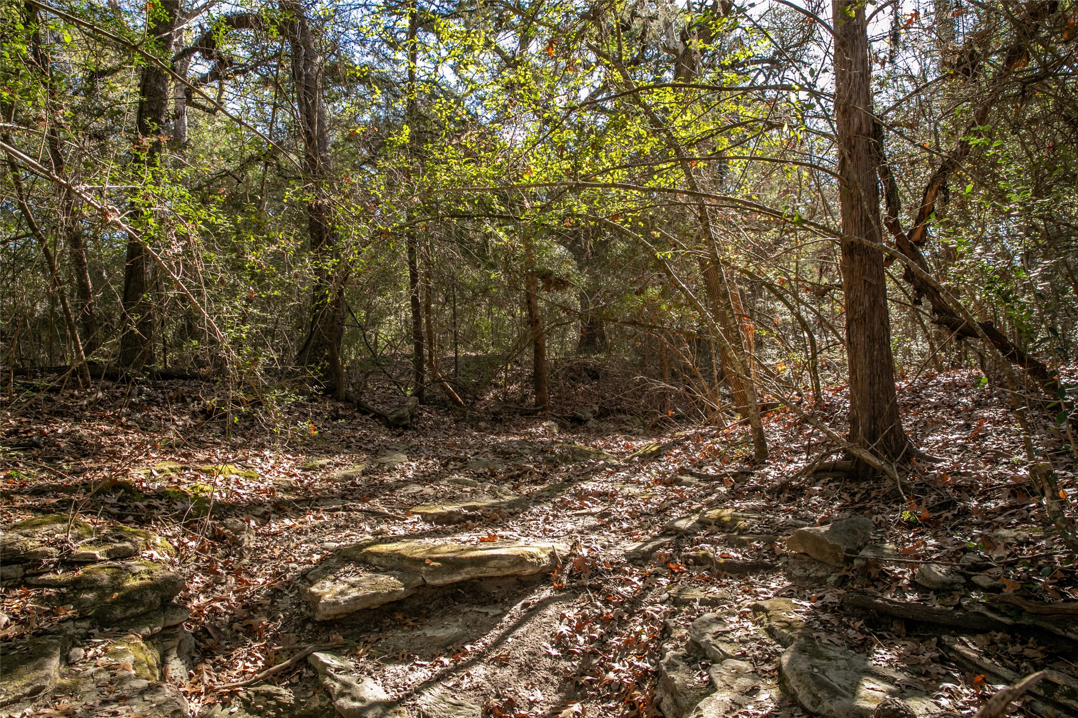 11107 Mt Falls School Road Washington, TX 77880 - Photo 24 of 26