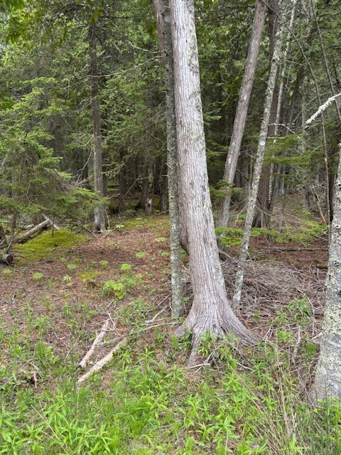 Bues Point Road Baileys Harbor, WI 54202 - Photo 2 of 5