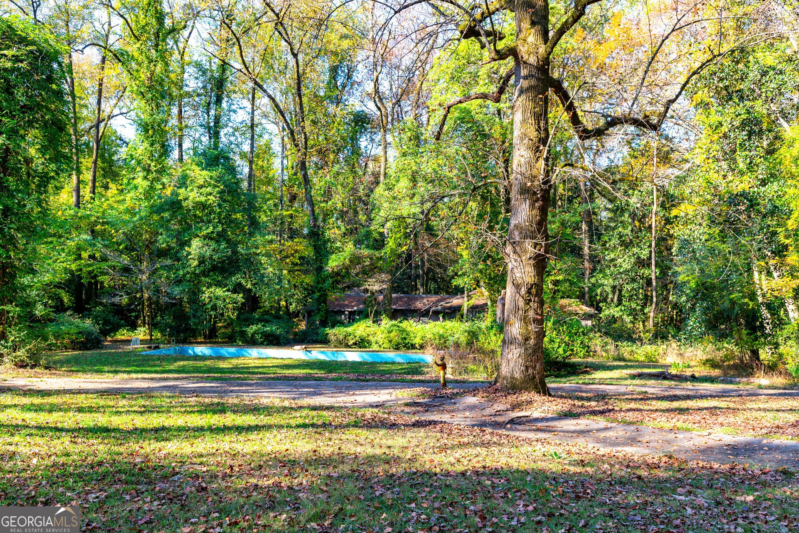 300 Poplar Drive Thomaston, GA 30286 - Photo 11 of 19 a view of a house with a big yard and large trees