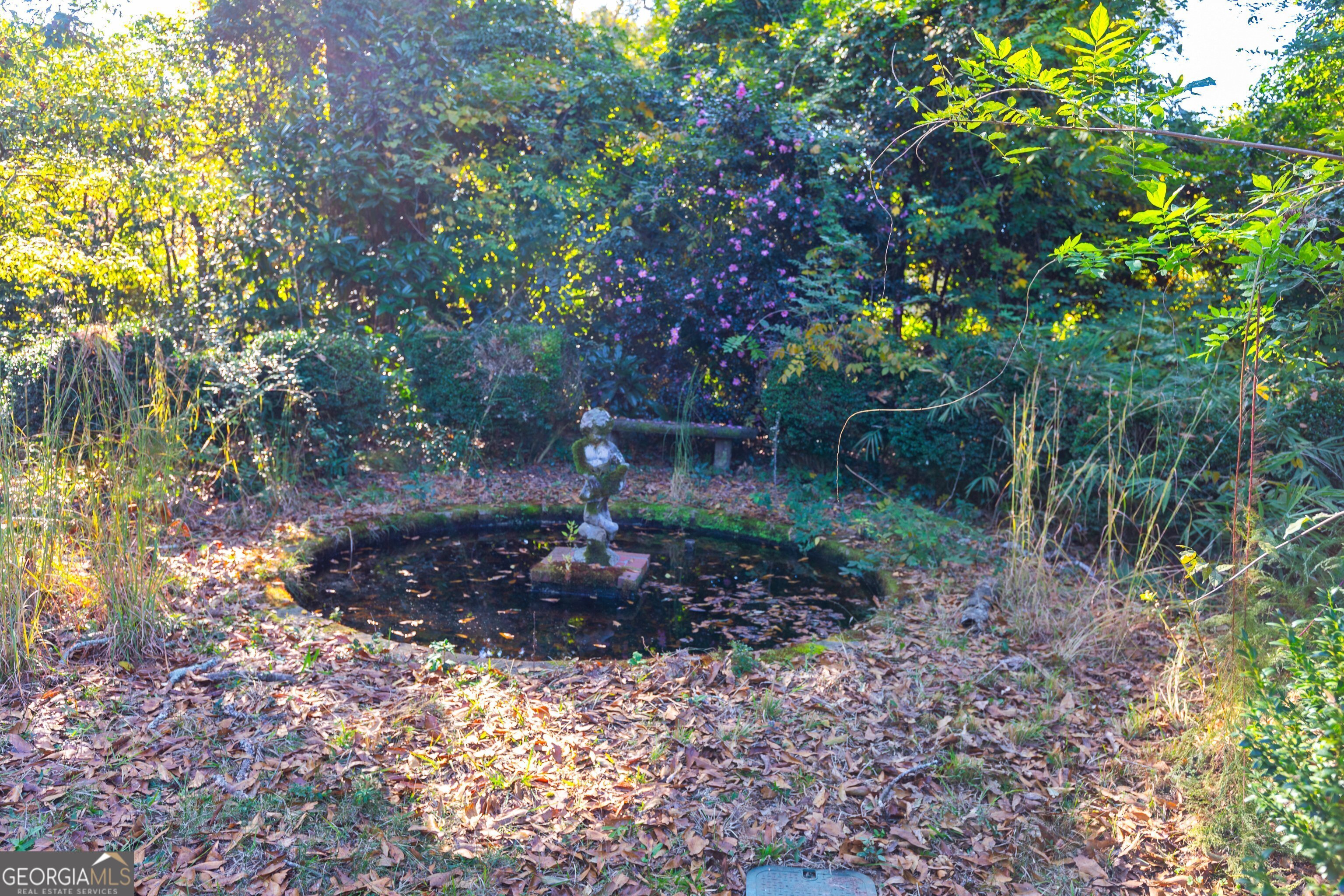 300 Poplar Drive Thomaston, GA 30286 - Photo 14 of 19 a backyard of a house with lots of green space