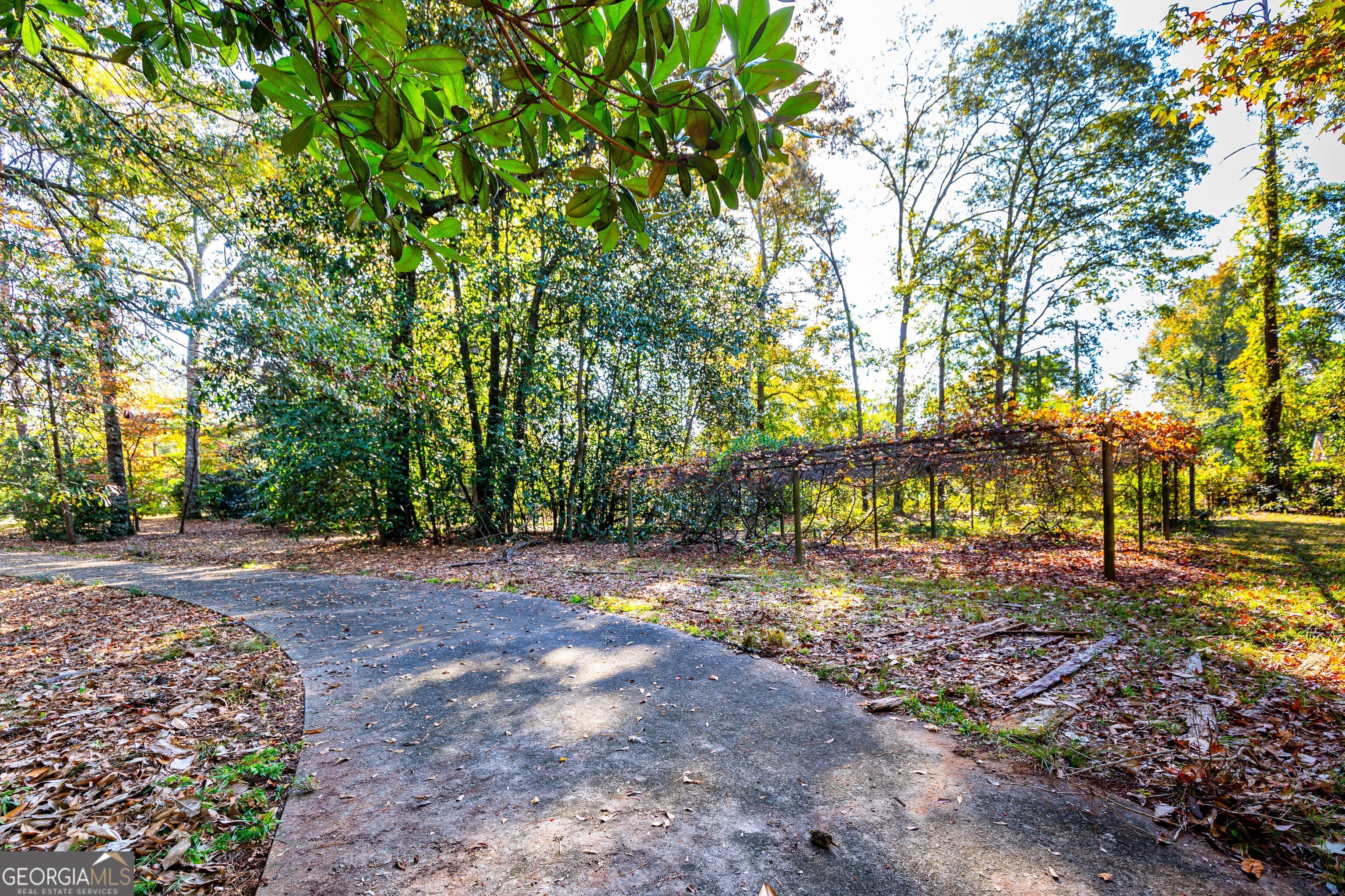 300 Poplar Drive Thomaston, GA 30286 - Photo 15 of 19 a view of a yard with plants and trees