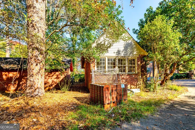 a view of a tree in the middle of a yard