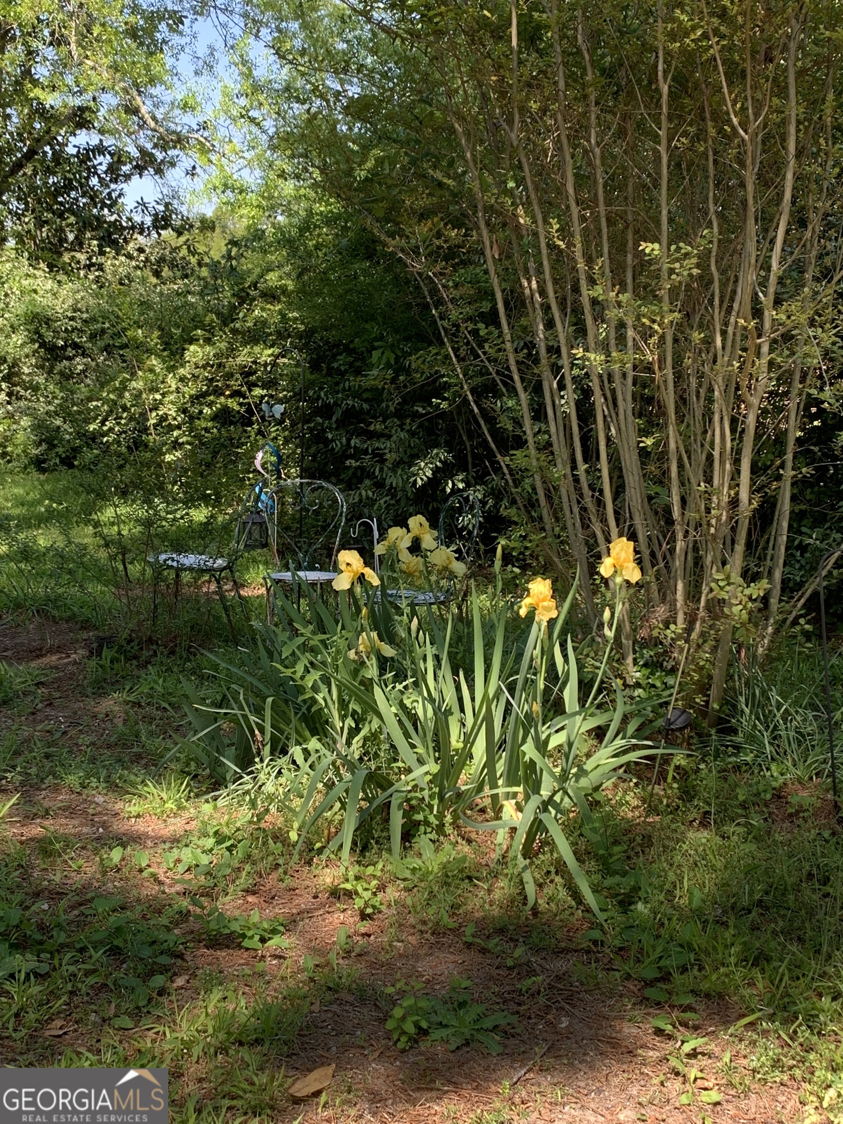 116 8th Avenue Manchester, GA 31816 - Photo 27 of 28