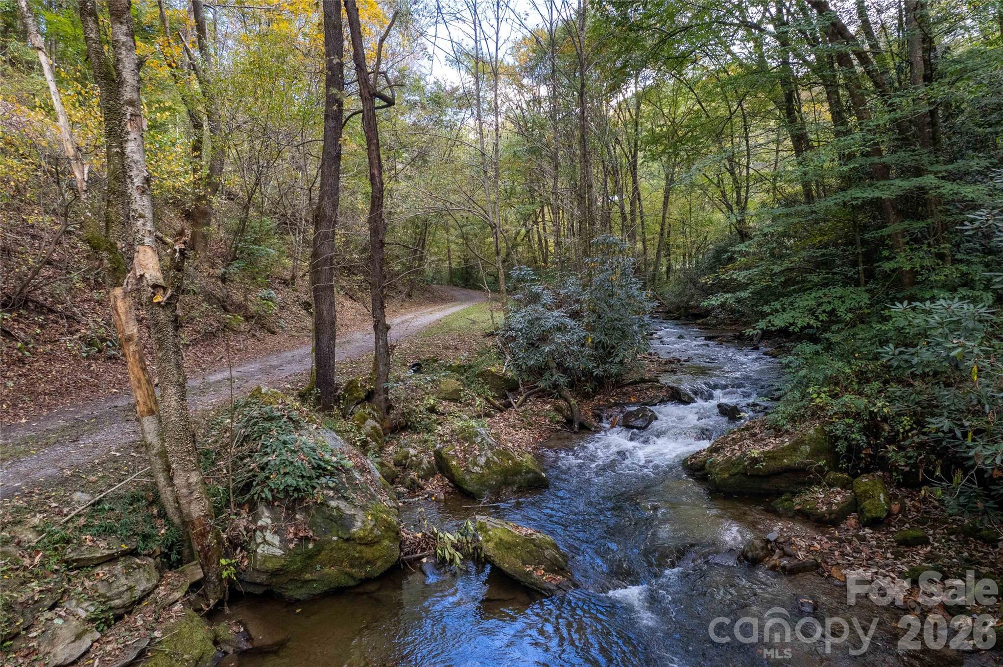 214 Chin Tree Road Sylva, NC 28779 - Photo 36 of 37