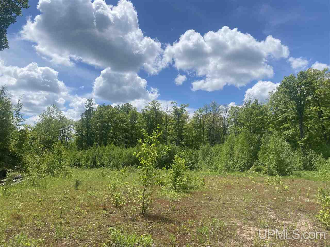 Tbd West Tamarack Lake Road, Unit 17 Iron River, MI 49935 - Photo 39 of 45