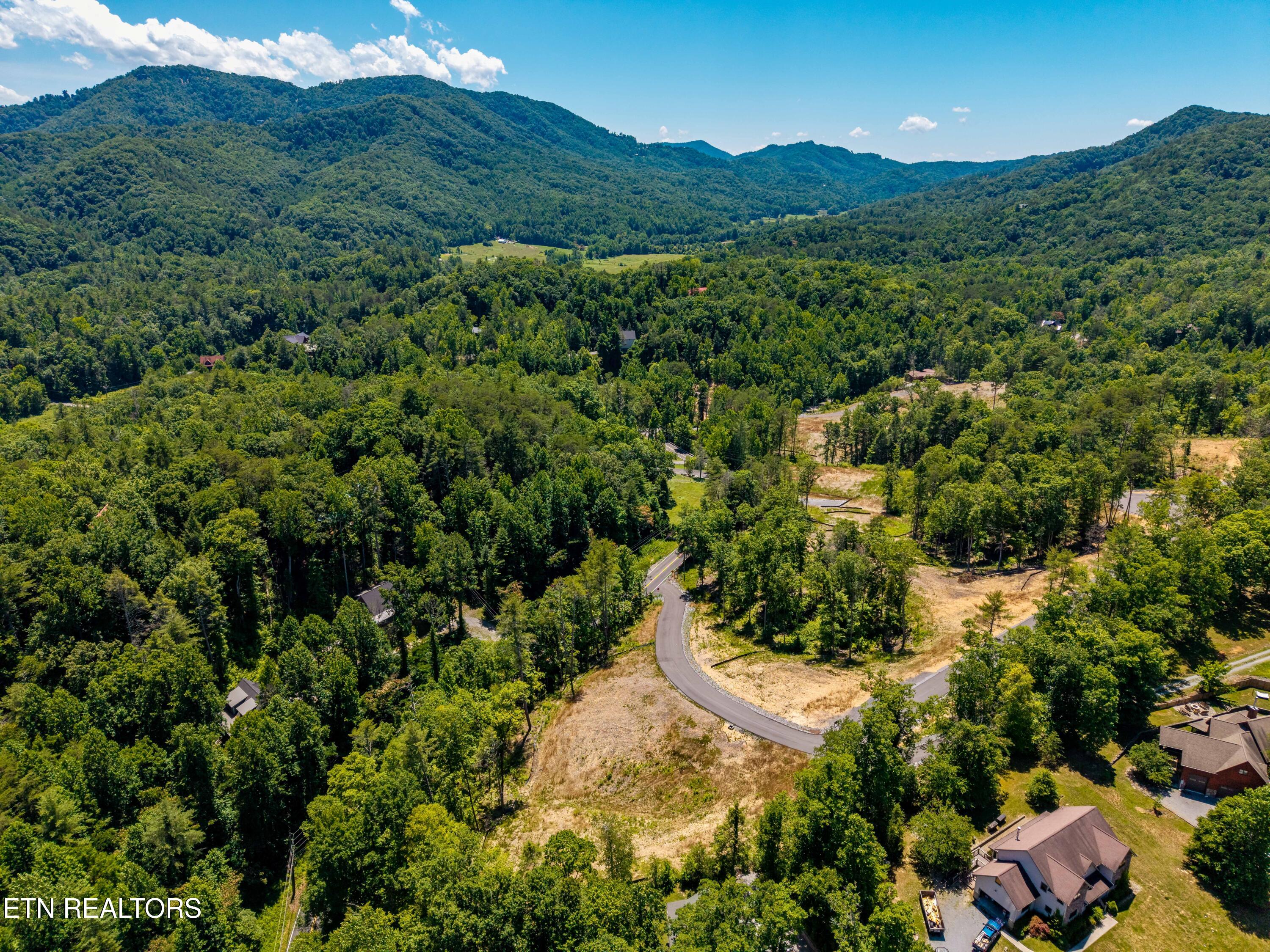 Waldens Creek Road Sevierville, TN 37862 - Photo 24 of 46 WaldensCreekRd-24
