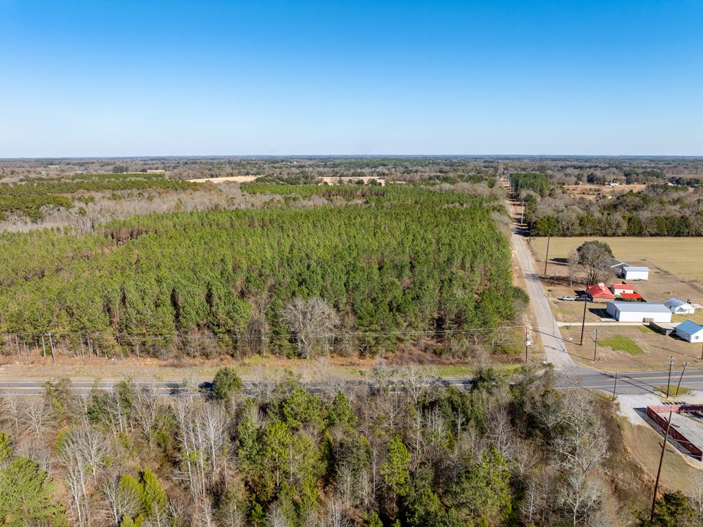 Lot 3-15 -ac Cottonwood Rd/ Phillips Road Cottonwood, AL 36320 - Photo 47 of 49