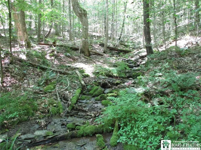$249,000 | Snowball Hollow Road, Scio, NY 14880