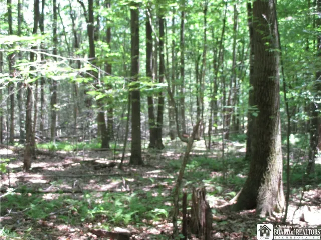 $249,000 | Snowball Hollow Road, Scio, NY 14880