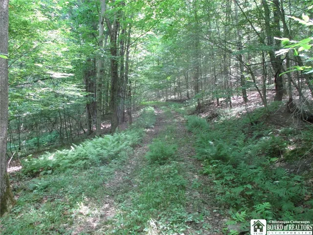 $249,000 | Snowball Hollow Road, Scio, NY 14880