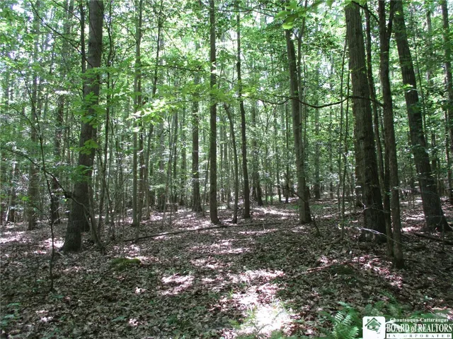 $249,000 | Snowball Hollow Road, Scio, NY 14880