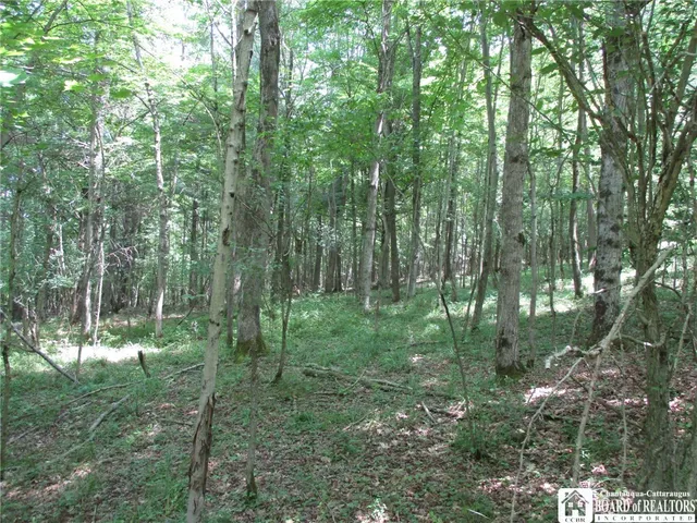 $249,000 | Snowball Hollow Road, Scio, NY 14880