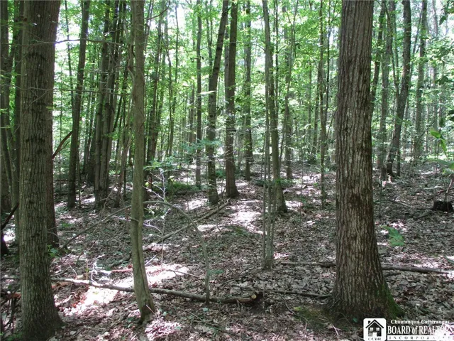 $249,000 | Snowball Hollow Road, Scio, NY 14880