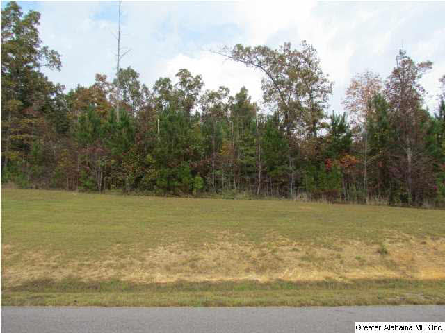 Brooke Lane Odenville, AL 35120 - Photo 4 of 4