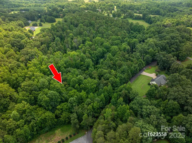 a view of a road with lush green forest