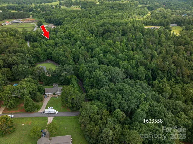 a view of a city with lush green forest