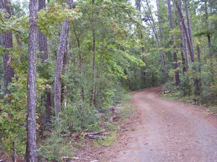 Guy Barkdull Road Summit, MS 39666 - Photo 1 of 1 Main View