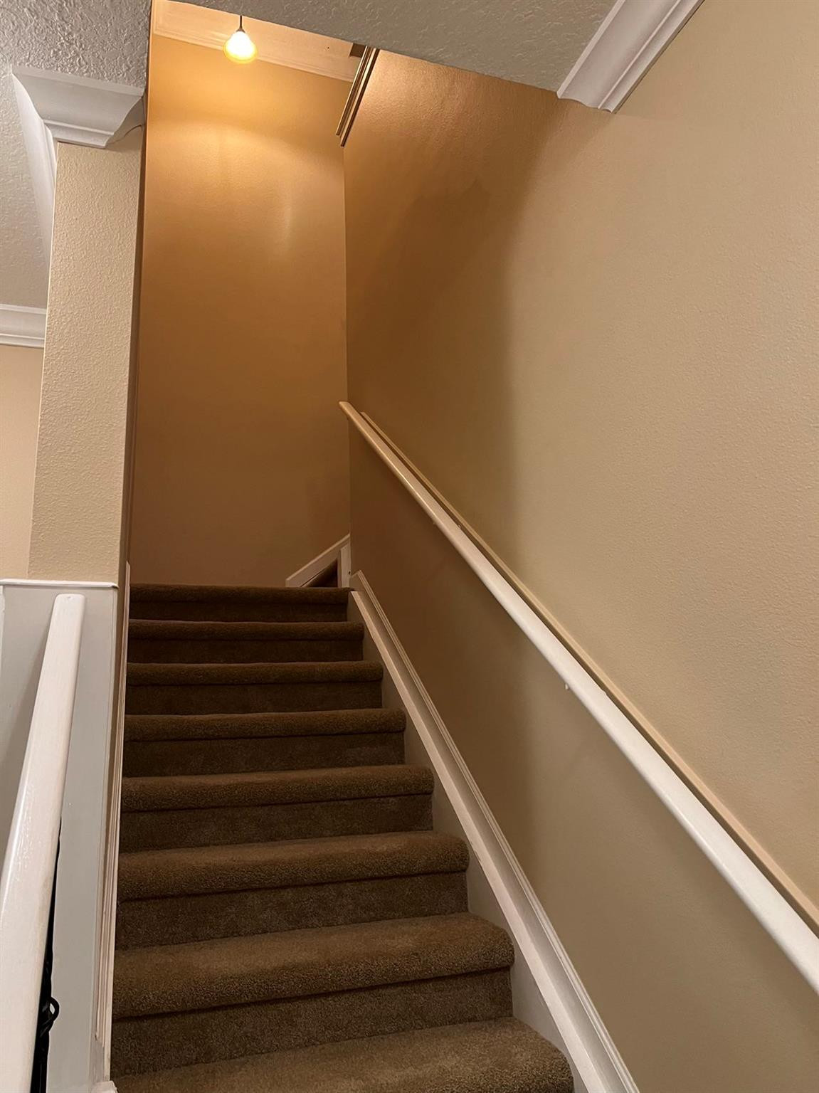 4077 Meander Place Rockledge, FL 32955 - Photo 24 of 28 Photo 24