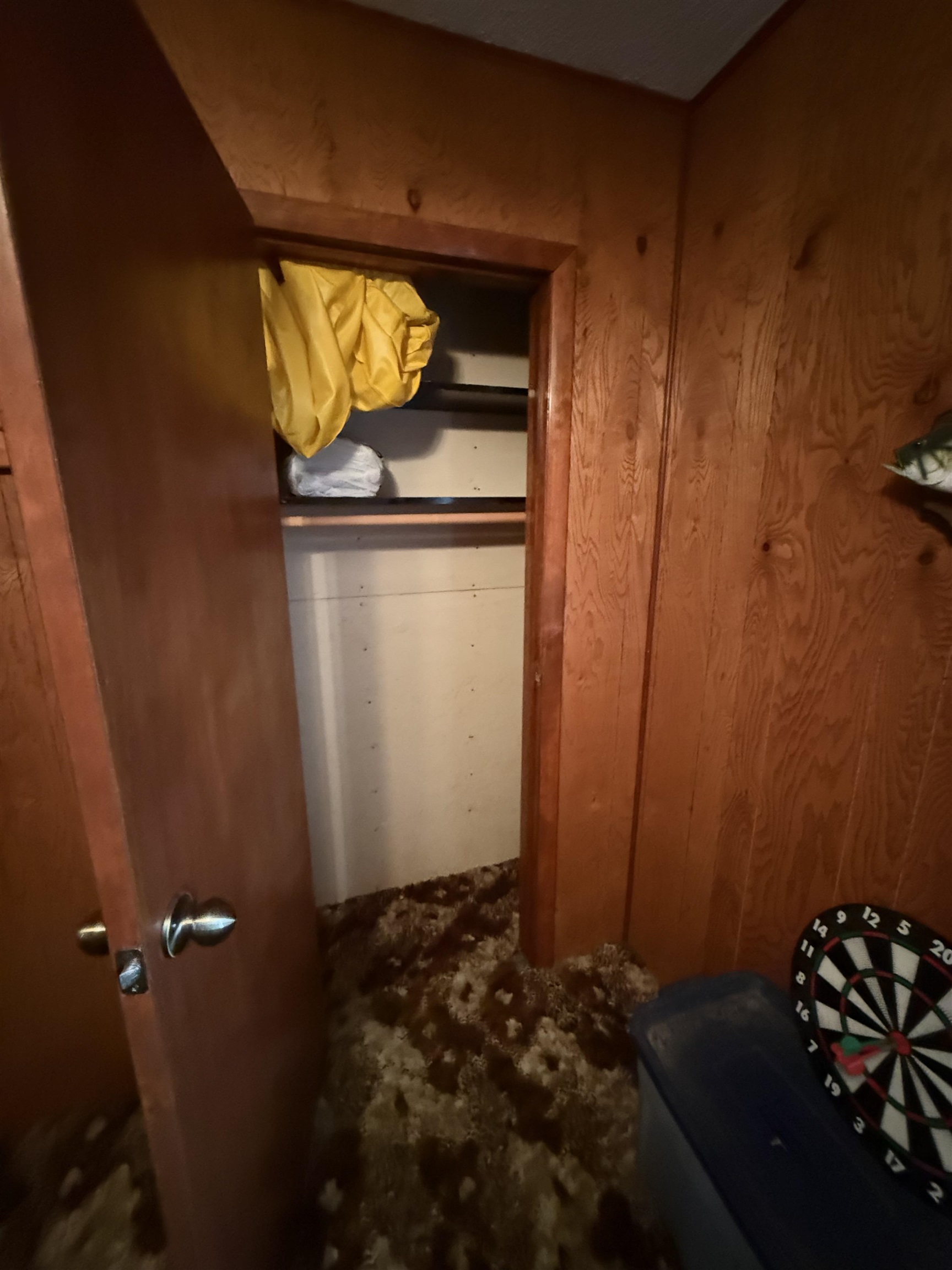 63380 Trout Lake Road Iron River, WI 54847 - Photo 22 of 36 Bedroom with wooden walls