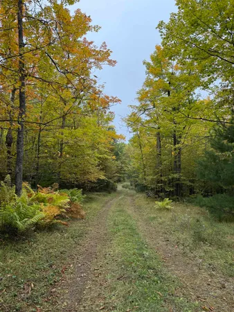 $350,000 | 63380 Trout Lake Road, Iron River, WI 54847