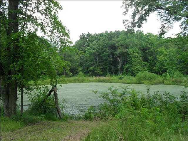 7665 Taylorville Road Tennyson, IN 47637 - Photo 1 of 1