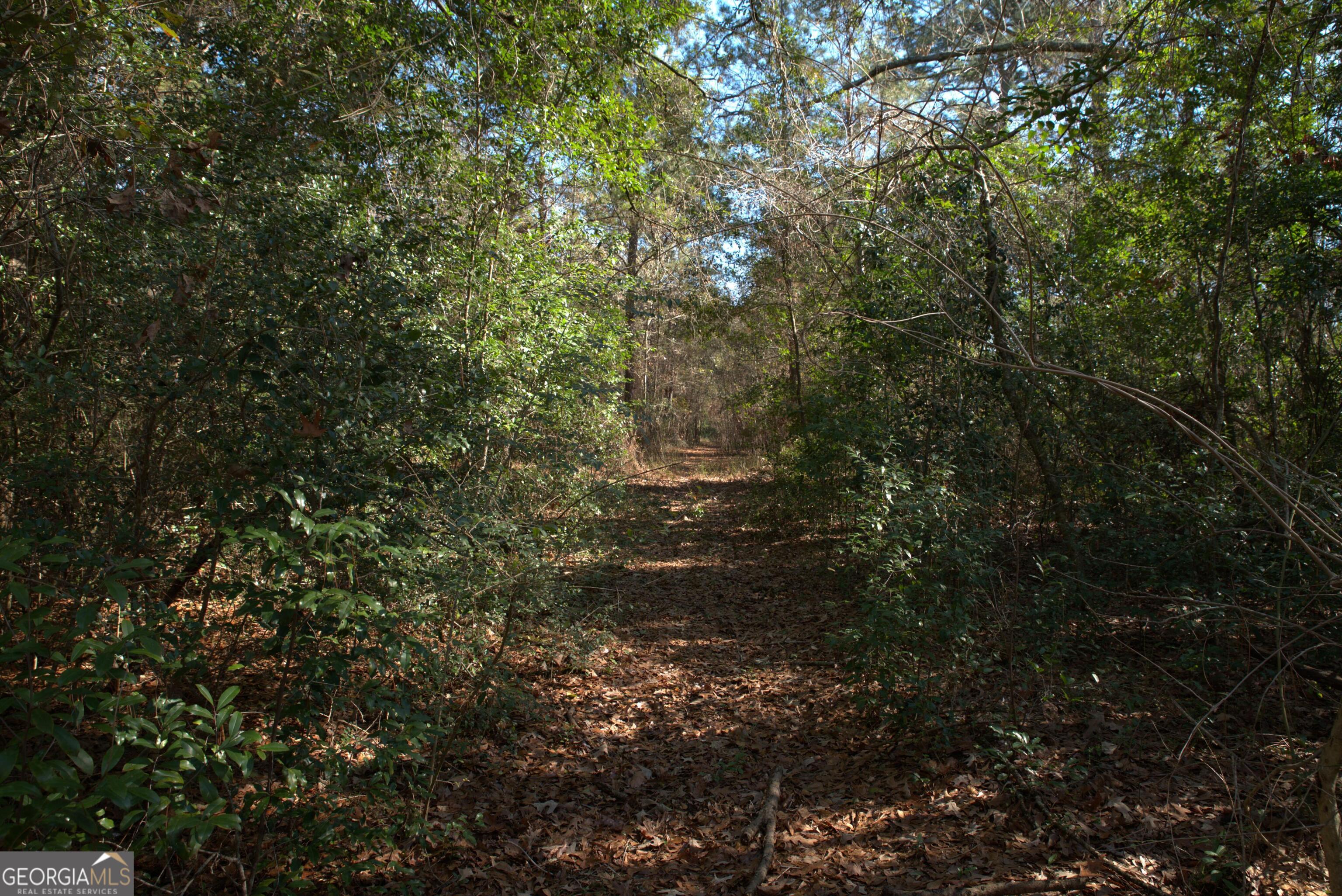 920 Cordele Road Albany, GA 31705 - Photo 4 of 10