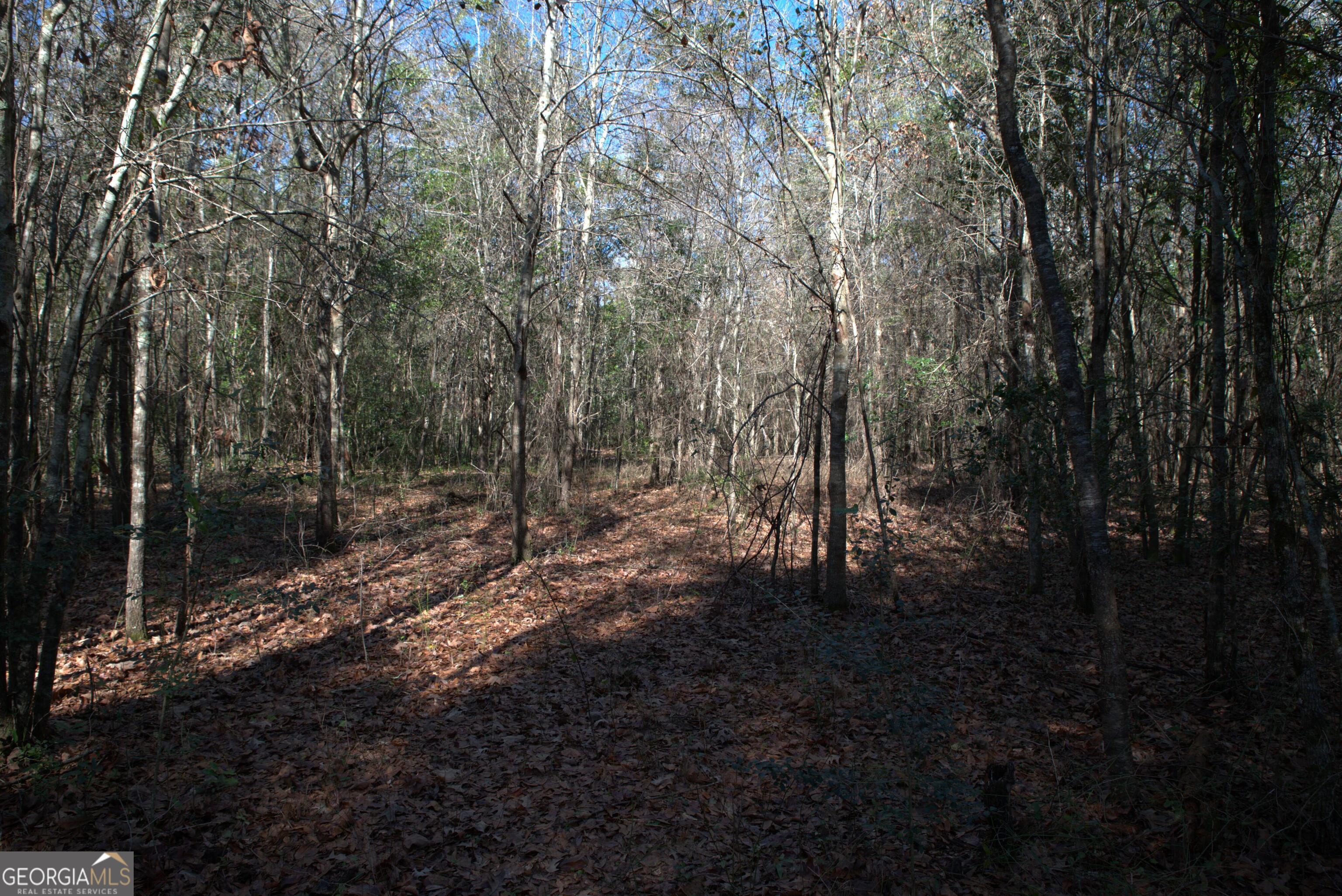 920 Cordele Road Albany, GA 31705 - Photo 5 of 10