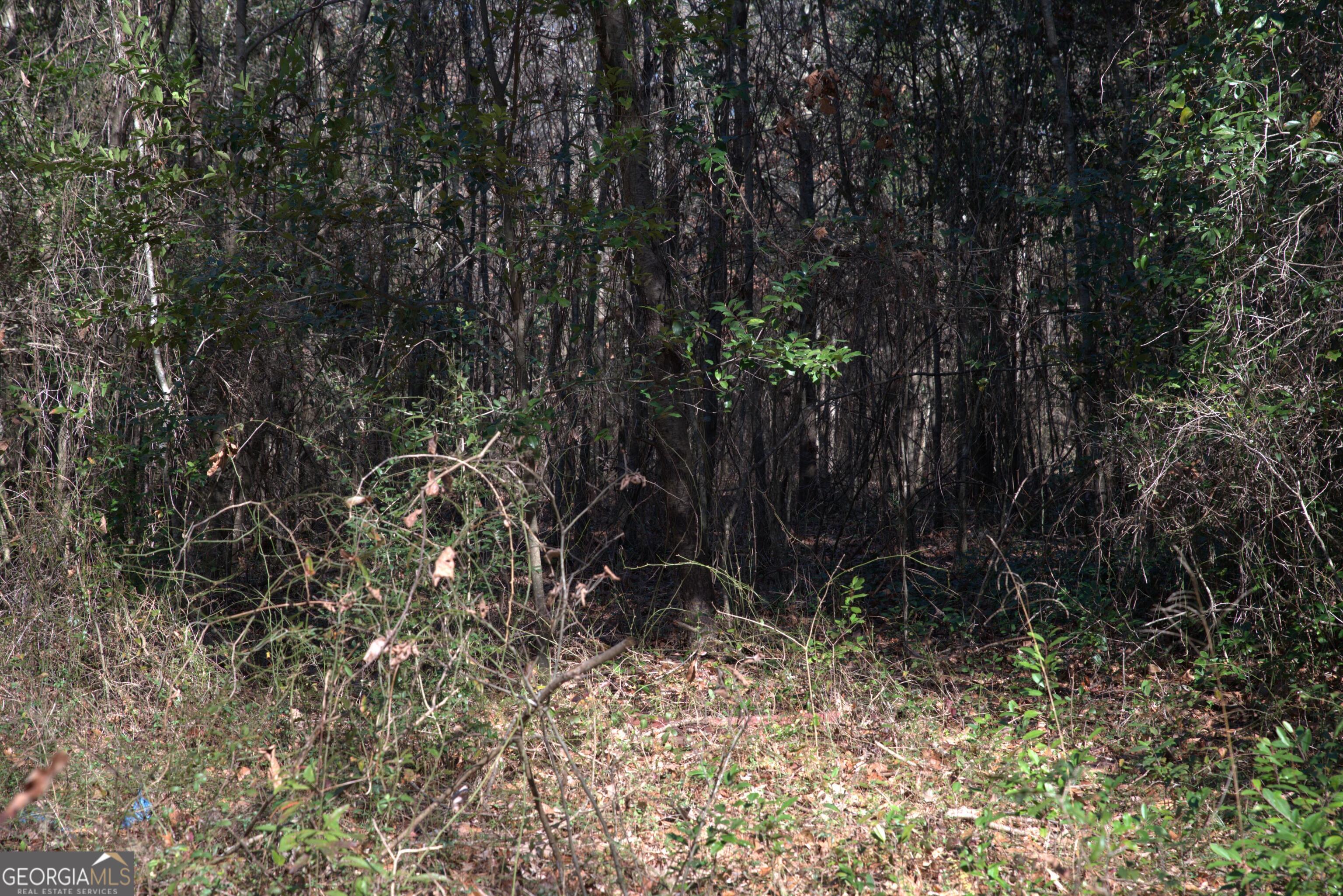 920 Cordele Road Albany, GA 31705 - Photo 6 of 10