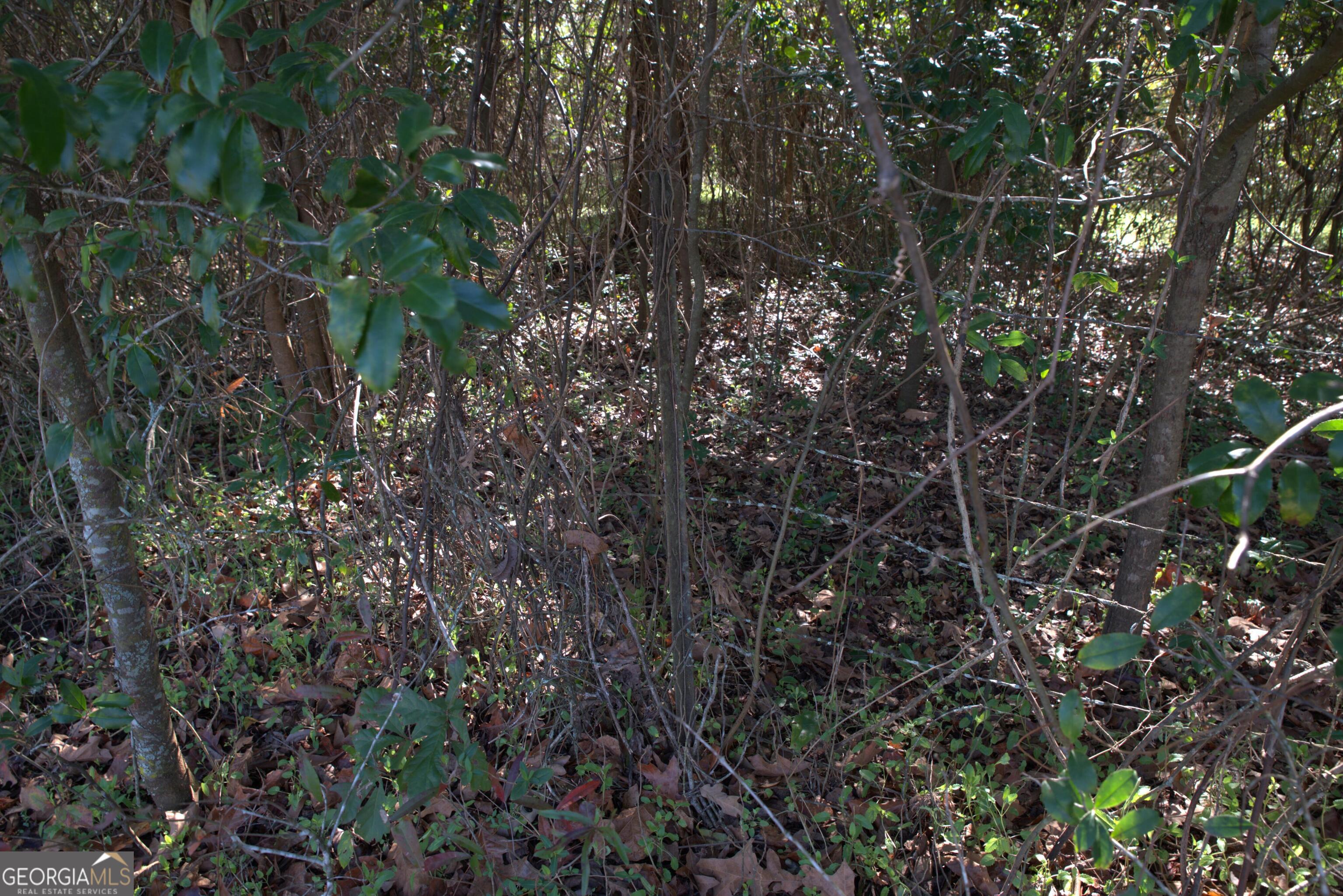 920 Cordele Road Albany, GA 31705 - Photo 7 of 10