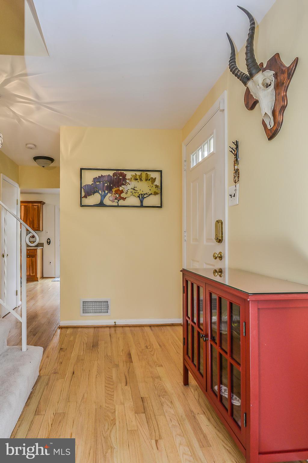 7410 Spring Tree Drive Springfield, VA 22153 - Photo 4 of 34 MAIN DOOR / ENTRY