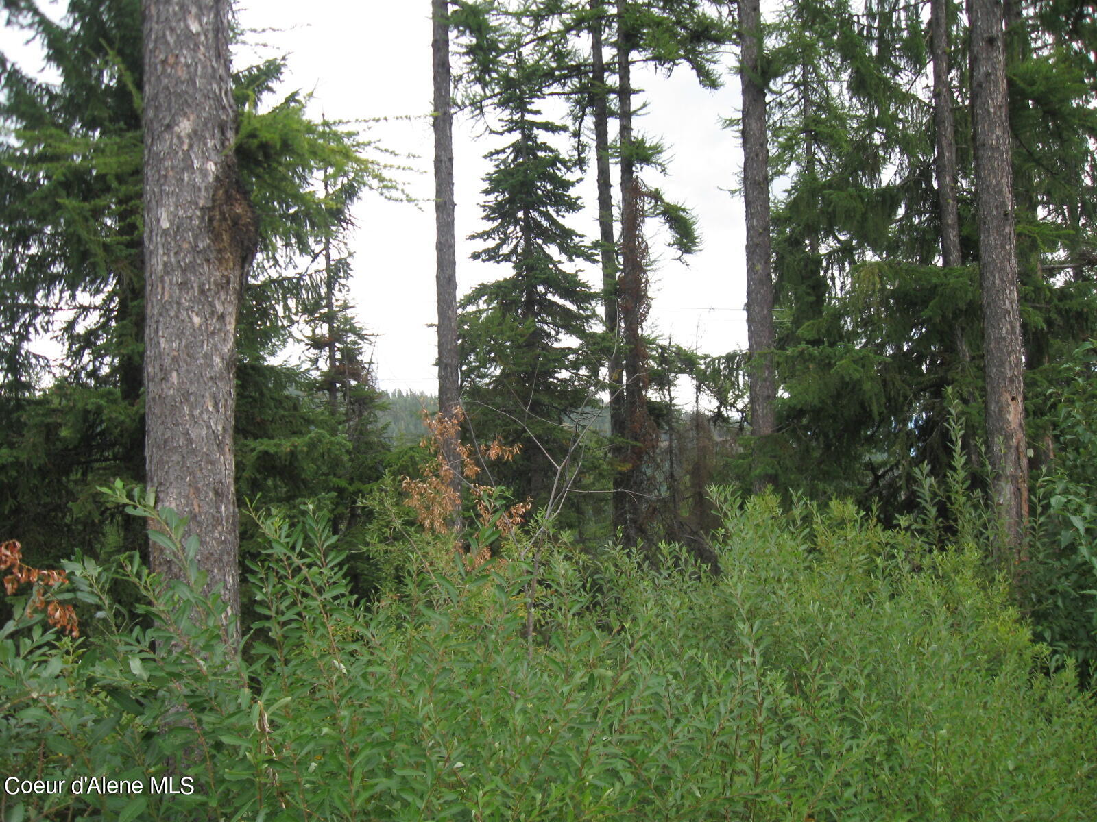 06 Parallel Run Sandpoint, ID 83864 - Photo 2 of 6 IMG_0618