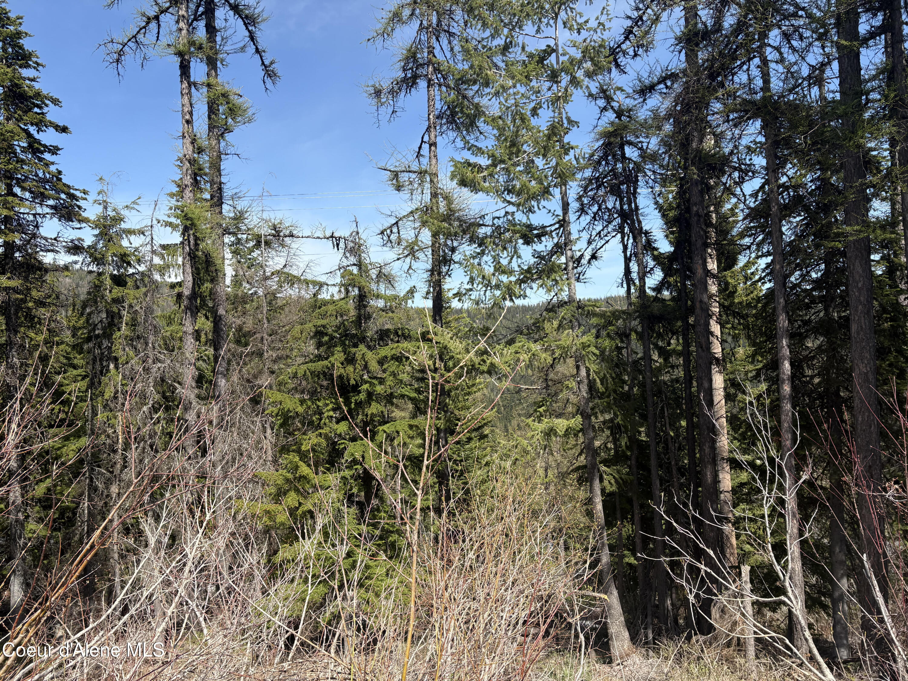 06 Parallel Run Sandpoint, ID 83864 - Photo 2 of 6 Top of Lot