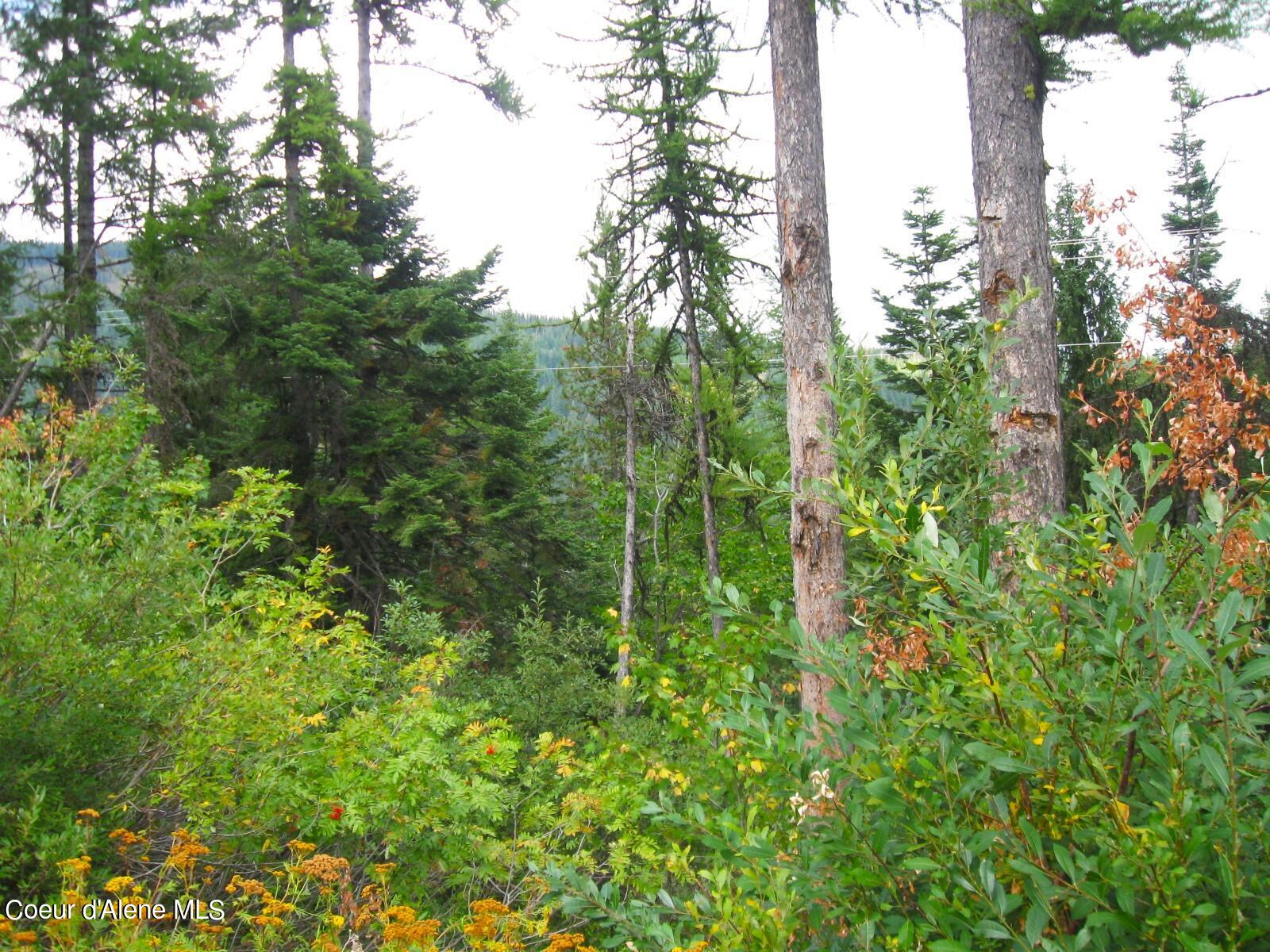 06 Parallel Run Sandpoint, ID 83864 - Photo 3 of 6 IMG_0619